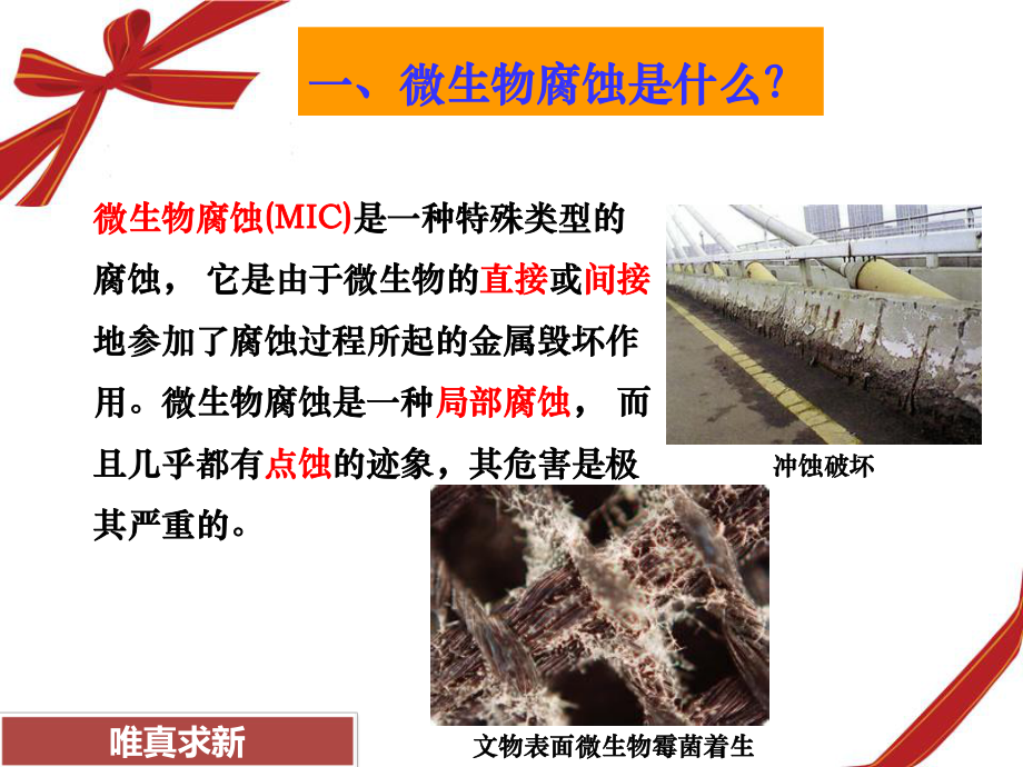 微生物腐蚀基础.ppt_第3页