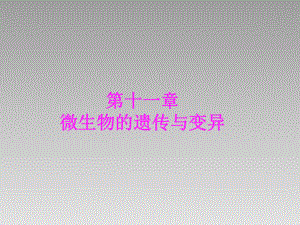 微生物的遗传与变异.ppt