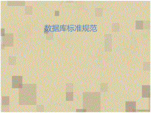 数据库标准规范.ppt