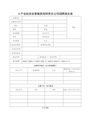 X产业投资发展集团有限责任公司招聘报名表.docx