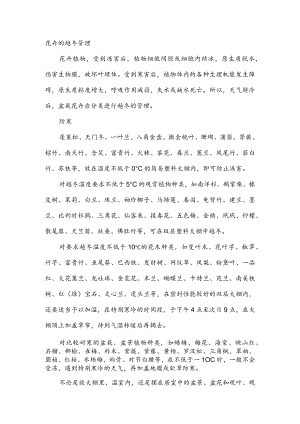 花卉的越冬管理.docx