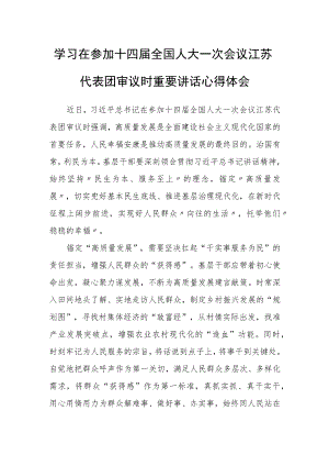 （3篇）国企机关党员干部学习2023年在参加十四届全国人大一次会议江苏代表团审议时重要讲话精神心得体会材料.docx