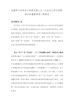 2篇学习在参加十四届全国人大一次会议江苏代表团审议时重要讲话心得体会.docx