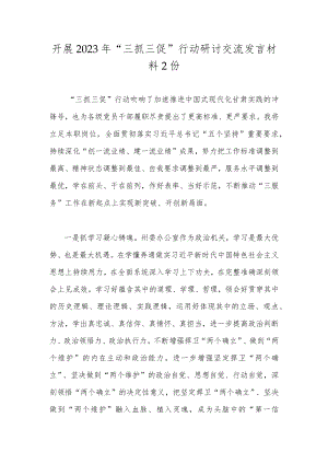 开展2023年“三抓三促”行动研讨交流发言材料2份.docx