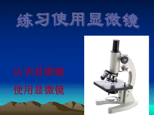 显微镜的结构和使用ppt.ppt