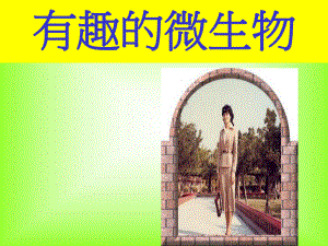 有趣的微生物.ppt