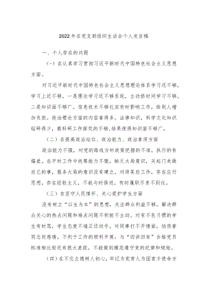 2022年在党支部组织生活会个人发言稿.docx