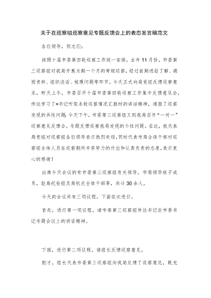 关于在巡察组巡察意见专题反馈会上的表态发言稿范文.docx