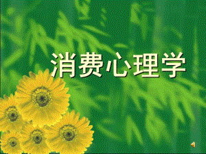 消费心理学导论.ppt