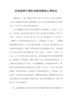 (最新版)2023年全国纪检监察干部队伍教育整顿心得体会.docx