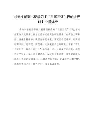 村党支部副书记学习【“三抓三促”行动进行时】心得体会.docx