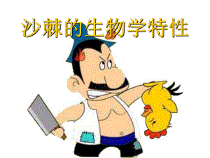 沙棘的生物学特性.ppt