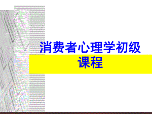 消费者心理学.ppt