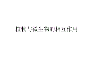 植物与微生物的相互作用.ppt