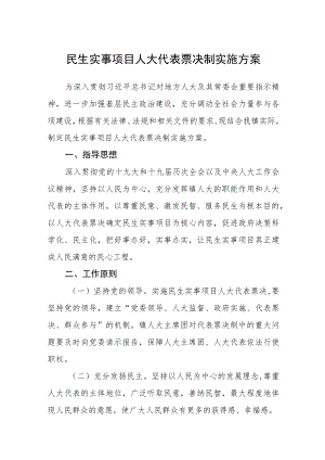 民生实事项目人大代表票决制实施方案.docx