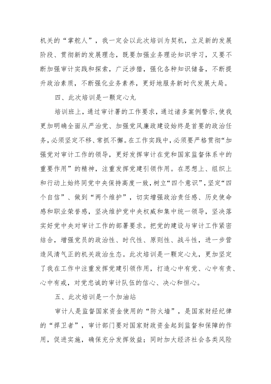 某审计局党组书记、局长关于农业农村审计培训班的学习体会.docx_第3页