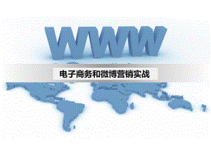 服装电子商务策略.ppt