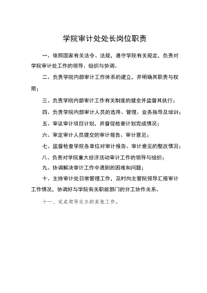 学院审计处处长岗位职责.docx