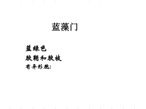 水生生物学图谱.ppt