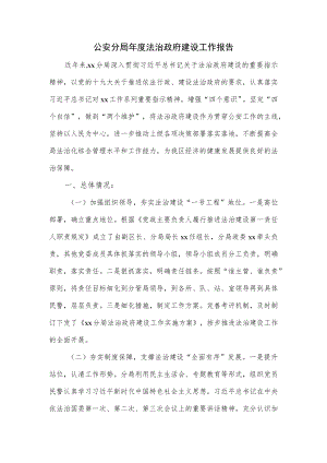 公安分局年度法治政府建设工作报告.docx