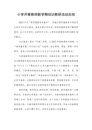 小学开展教师新学期培训教研活动总结.docx