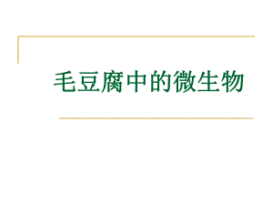 毛豆腐中的微生物.ppt