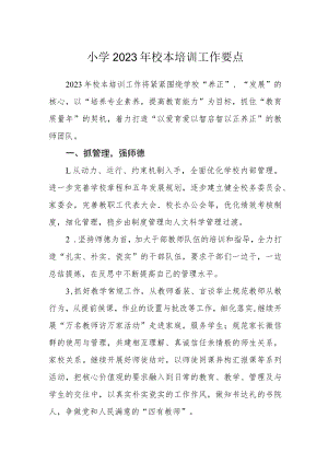 小学2023年校本培训工作要点.docx