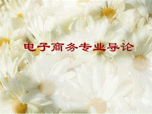 电子商务专业导论.ppt