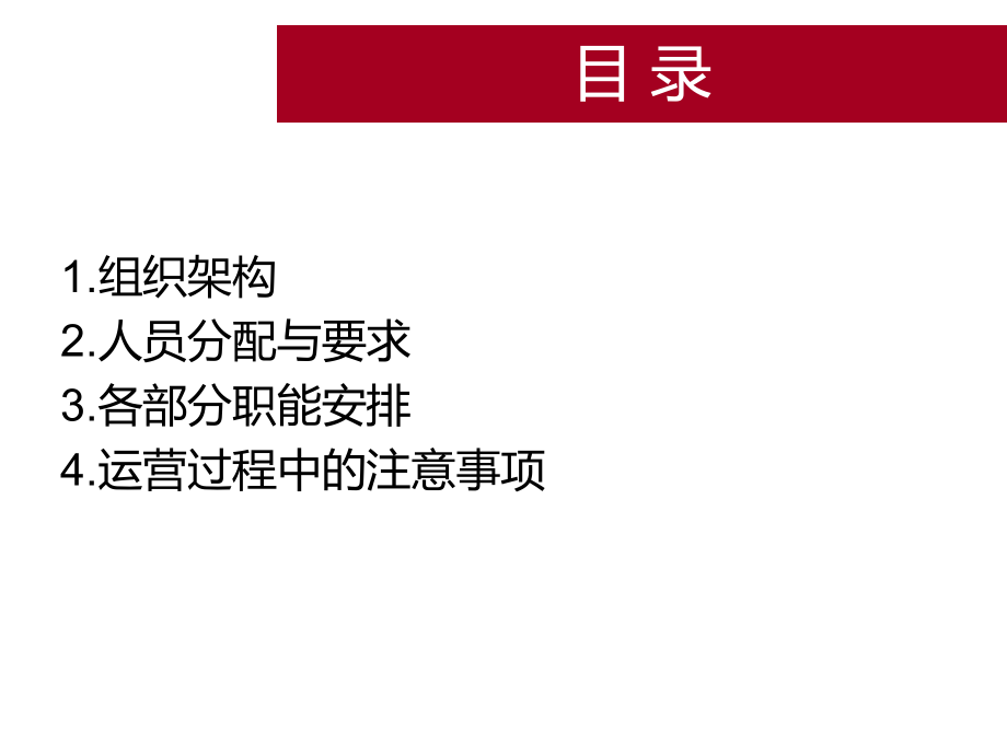 电子商务运营方案.ppt_第2页