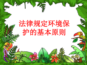 环境保护的基本原则.ppt