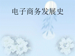 电子商务发展史简述.ppt