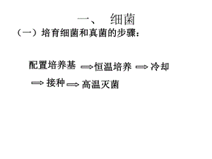 生物圈中的微生物.ppt