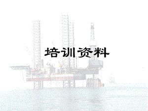 瑞灵培训资料.ppt