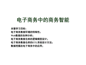 电子商务中的商务智能.ppt