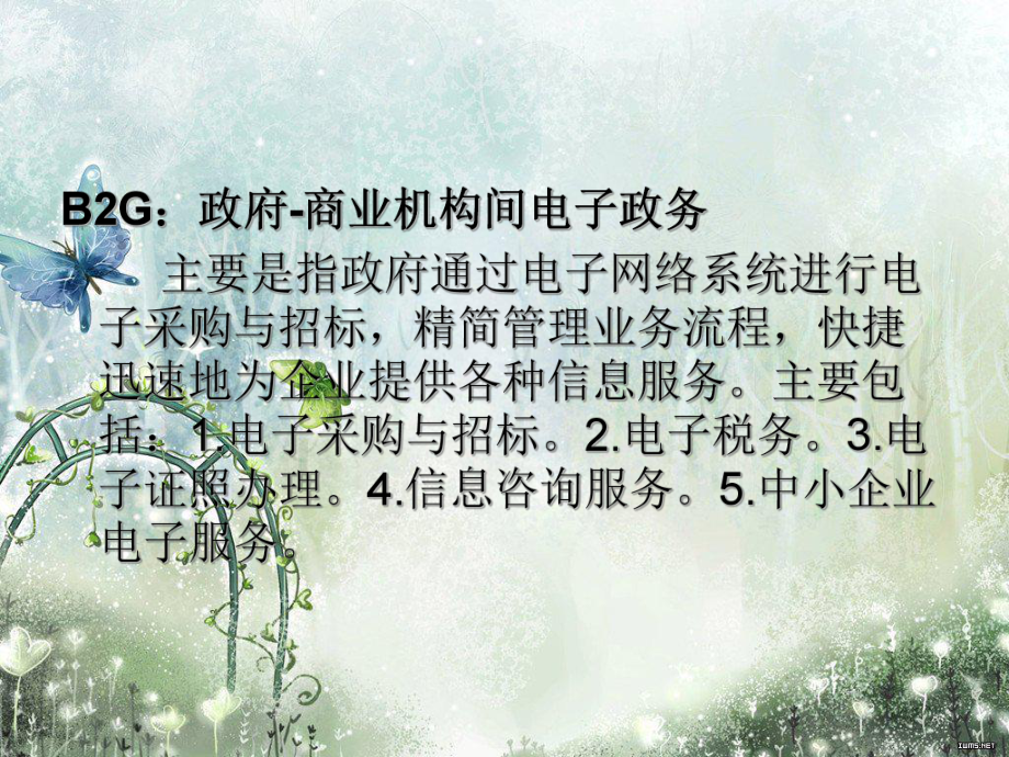电子商务BtoG.ppt_第2页