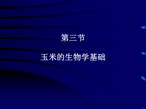 玉米生物学基础.ppt