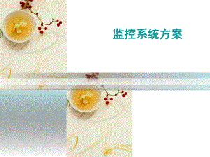 监控系统设计.ppt