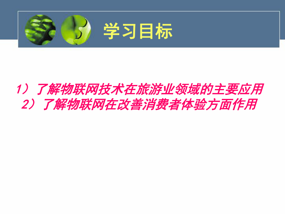 物联网在旅游行业的应用.ppt_第3页