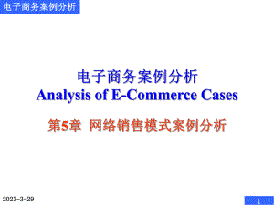 电子商务案例分析网络销售模式案例分析.ppt