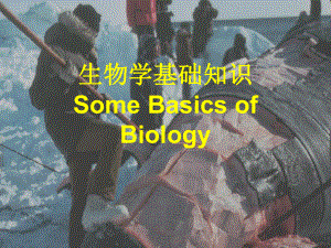 生物学基础知识.ppt