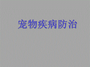 猫的常见传染病1.ppt