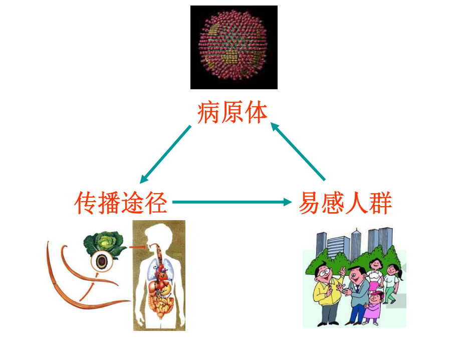 病原生物与传染病.ppt_第2页