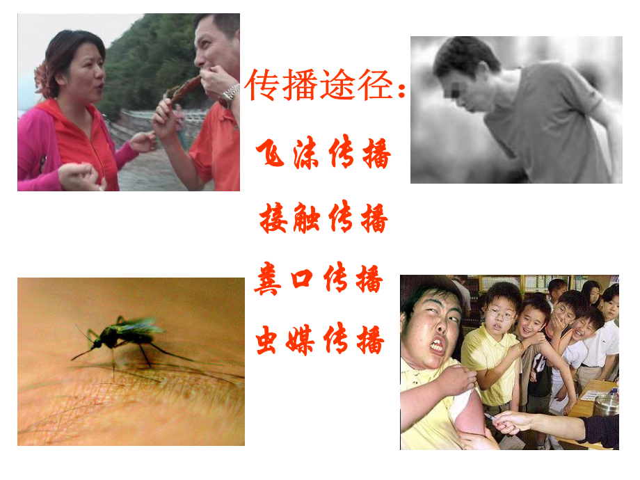 病原生物与传染病.ppt_第3页
