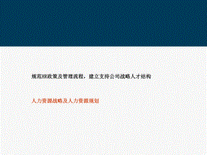 某软件公司人力资源战略及人力资源规划.ppt