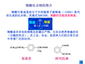 有机化学羧酸.ppt
