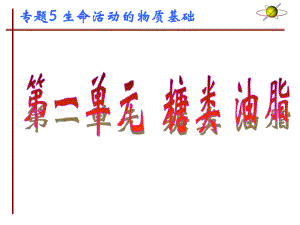 有机化学《糖类》课件.ppt