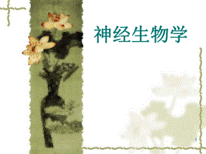 神经生物学概论.ppt