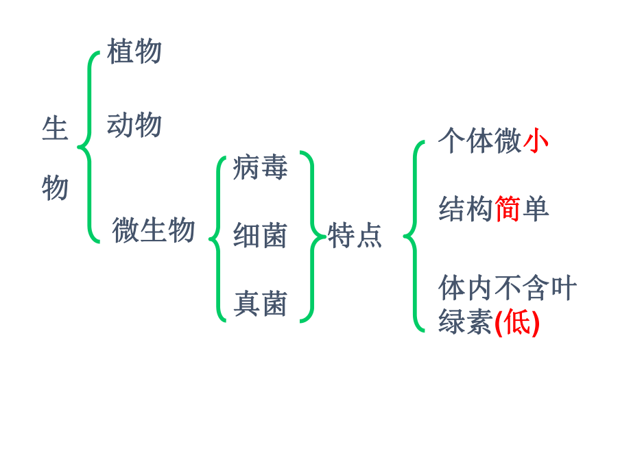 神奇的微生物.ppt_第2页