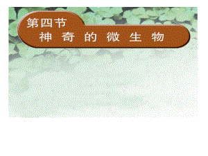 神奇的微生物.ppt