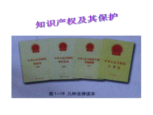 知识产权及其保护.ppt